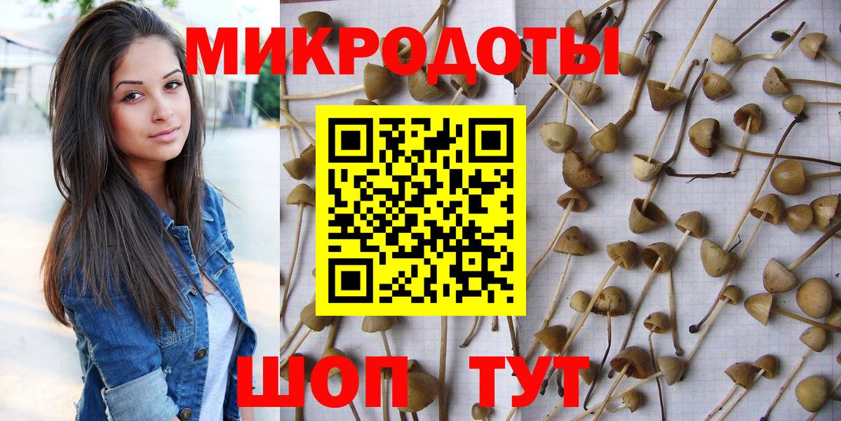 Жуковский  Галлюциногенные грибы прущие грибы  Вход с VPN 